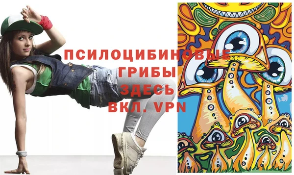 соль курить ск Михайлов
