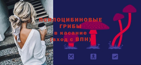прущие грибы Михайловка