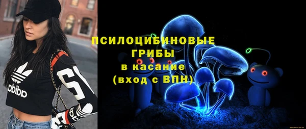 таблы Михайловск