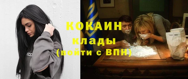 прущие грибы Михайловка