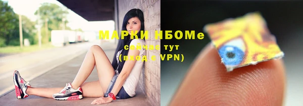 прущие грибы Михайловка