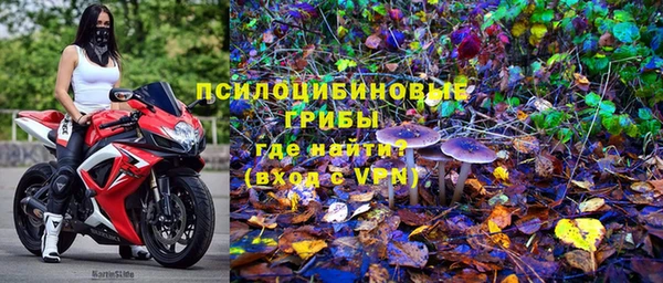 mdpv Мурманск