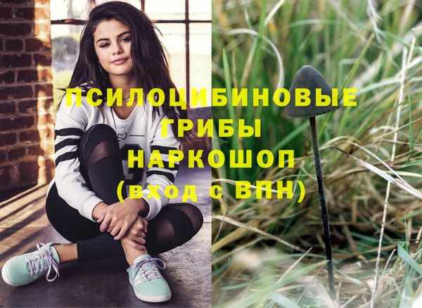 соль курить ск Михайлов