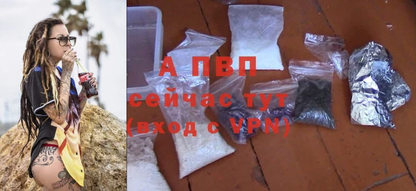 прущие грибы Михайловка